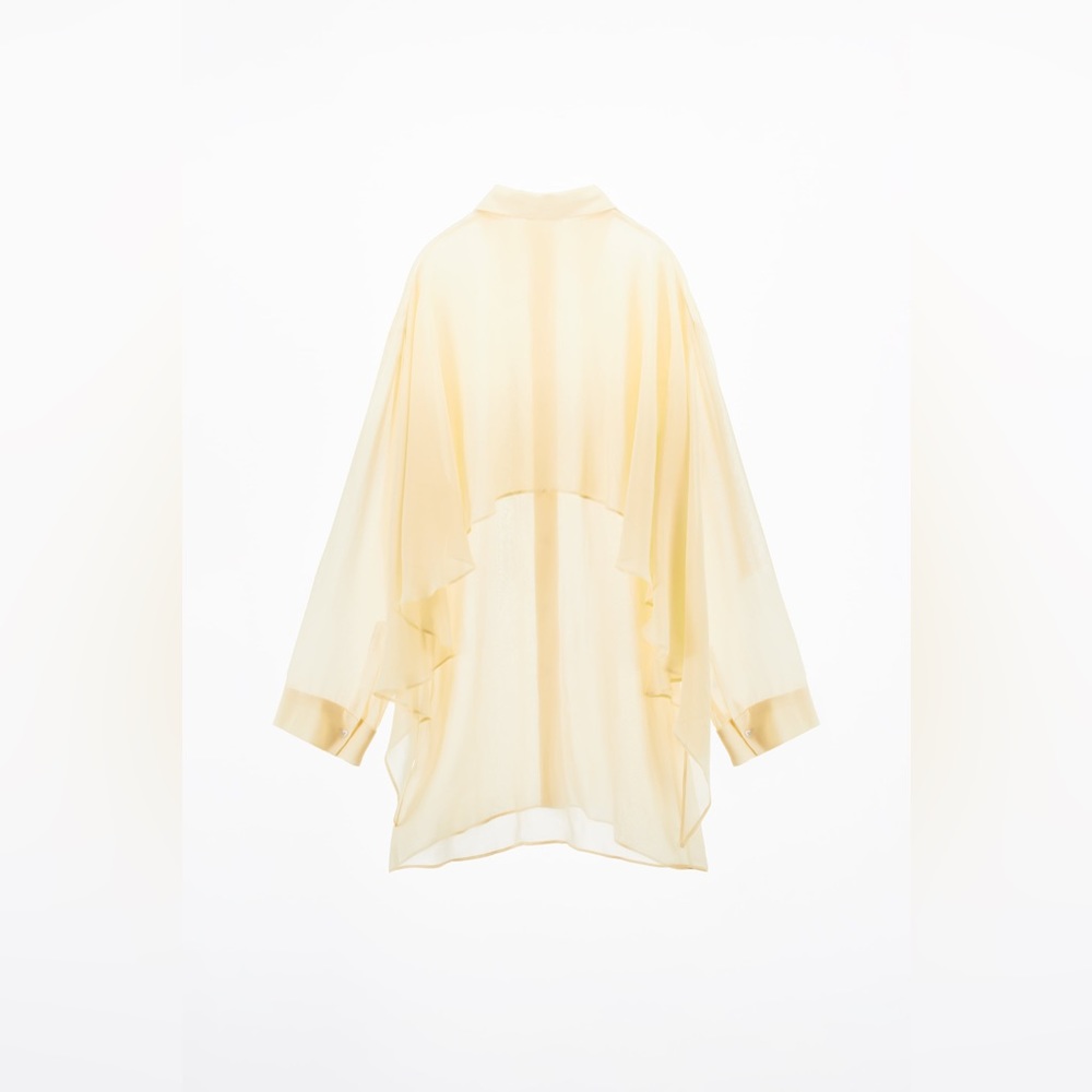 ZARA Sheer Shirt